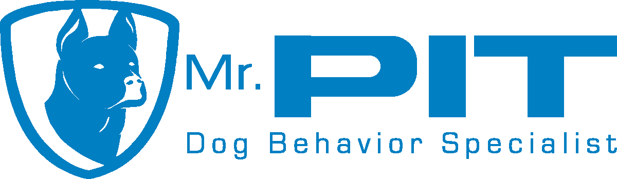 Mr. Pit Logo Horizontal with Blue Text